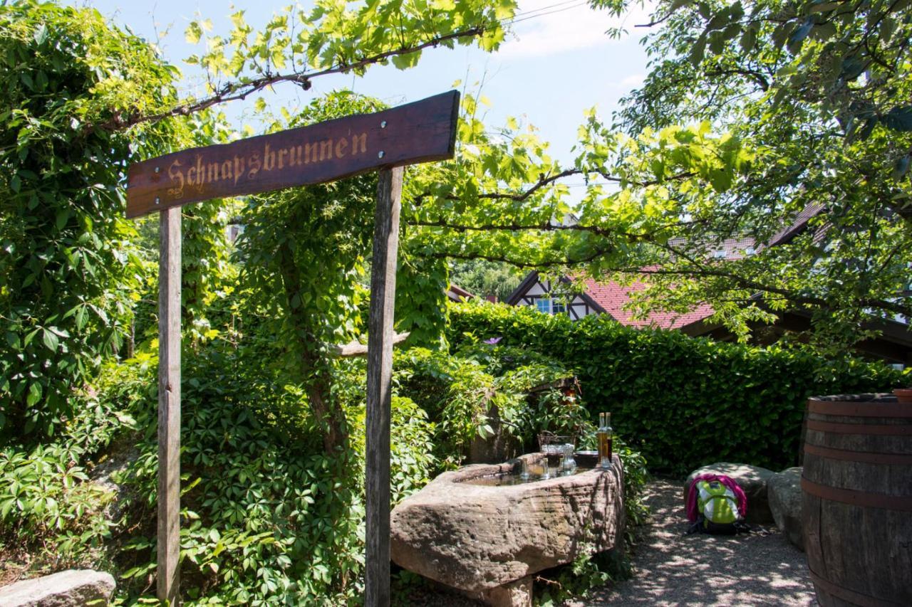 Terrassenpark Apartments  Sasbachwalden Exterior foto
